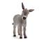 Schleich - Donkey Foal (13746) – kuva 1