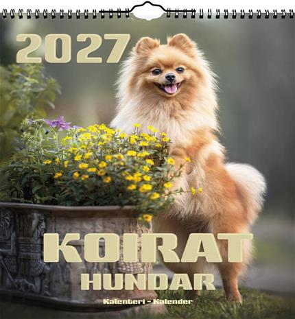 Iso seinäkalenteri koirat