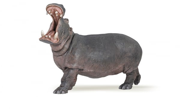 Virtahepo
