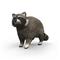 Schleich Raccon – kuva 5