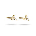 Thomas Sabo Classic kullatut korvakorut H2368-M01-14kullatut korvakorut H2368-M01-14