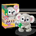 Little Live Pets - My Baby Koala (26840)
