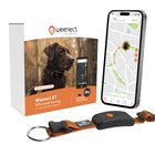 Weenect Dog XT Orange Collar - NEW GPS dog collar