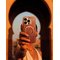 Apple iPhone 17 Pro Max, puhelinteline – kuva 2