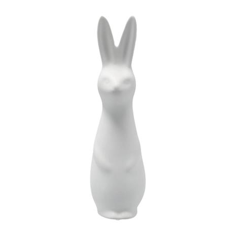DBKD Swedish rabbit small White
