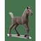 Schleich Keräilyvarsa Darcy – kuva 2