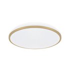 Plafond SMD LED LINUS LED C 18W NW, Plafonas SMD LED LINUS LED C 18W NW