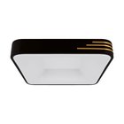 Struhm Librus Led kattovalaisin 24w 4200k 2970lm 160° musta/kulta