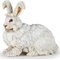 Papo Angora -kanin hahmo – kuva 1