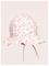 MT30-51003-5_231690538 – kuva 2