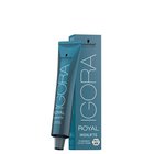 Pitkäkestoinen hiusväri Schwarzkopf Igora Royal HighLifts 12.19, 60 ml