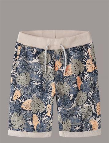 NI13214389_232008364