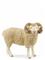 Schleich Pässi, Muut lelut – kuva 5