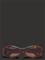 Corlin Eyewear Celeste Tortoise Brown - Brown - ONE SIZE – kuva 3