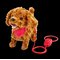 Happy Pets Walk Along Puppy - Cockapoo – kuva 2