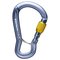 Black Diamond Gridlock Screwgate Carabiner – kuva 1