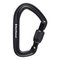 Black Diamond Hotforge Screwgate Carabiner Black – kuva 1
