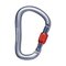 Black Diamond Rocklock Screwgate Carabiner Gray – kuva 1