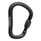 Black Diamond Rocklock Screwgate Carabiner Black – kuva 1