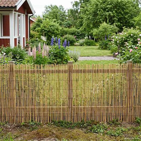 vidaXL Puutarha-aita Hiilineutraali 400 x 100 cm Ruoko