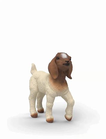 Schleich Boer Goat kid – kuva 8/8