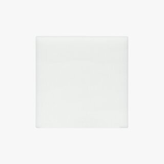 Bambu Lab Smoke Purifier Primary Filter