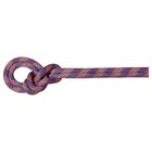 Mammut Adam Ondra 8.7 We Care Dry Rope 80m