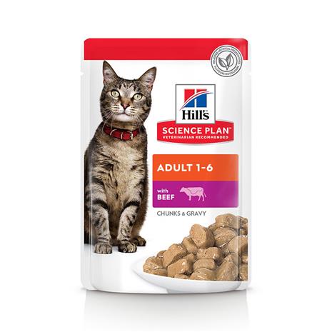 Hill's SCIENCE PLAN -märkäruoka aikuisille kissoille, kana & kalkkuna - 12x85 g