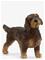 Schleich Wire-Haired Dachshund – kuva 5