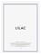 PFA012-LILACACRYLIC_227389430 – kuva 2