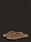 IJACHEERFUL03G_231771258 – kuva 2
