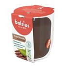 Bolsius True Scents tuoksukynttilä Oud Wood, ~25 h.