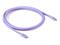 CLUB3D USB C cable purple – kuva 3
