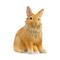 Schleich Lionhead Rabbit – kuva 6