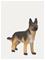 Schleich German Shepherd female – kuva 5
