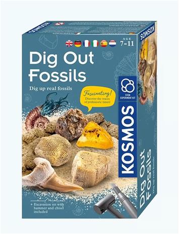 Dig Out Fossils Experiment Box STEM Kosmos (pohjoinen)