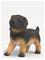 Schleich German Shepherd puppy – kuva 7