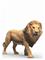 Schleich African Lion – kuva 8
