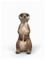 Schleich Meerkat – kuva 5