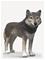 Schleich American Wolf – kuva 7