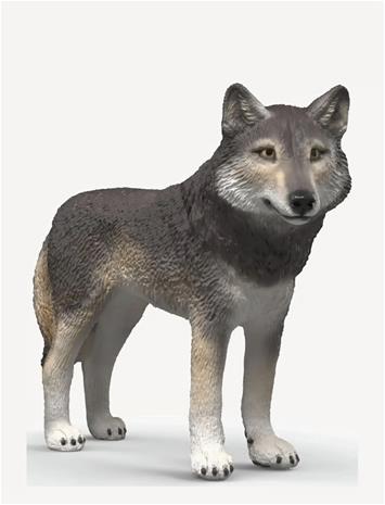 Schleich American Wolf