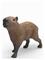 Schleich Capybara – kuva 8