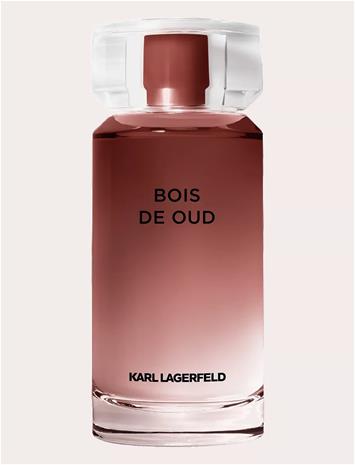 Bois de Oud - Eau de Toilette 100 ml