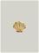 Pandora Textured Shell Mini hela 764057C00 – kuva 5