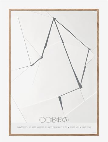 CHICP-1085_223089334