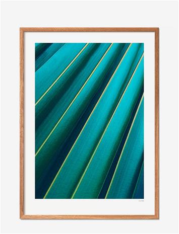 Poster & Frame Poster & Frame Leaf - Blue - 70X100CM