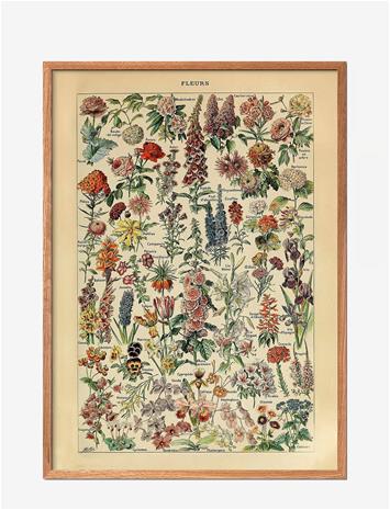 PFASIM-FLEURS_223194540