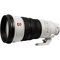 Sony SEL300F28GM – kuva 1