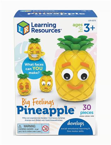 Learning Resources - Big Feelings Pineapple (LSP6373-SCA)