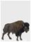 Schleich Wild Life Bison biisoni – kuva 7